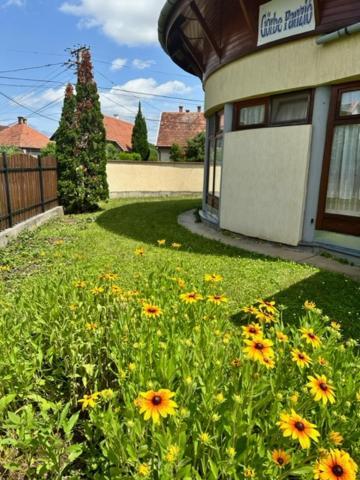 Apartmán Cozy Garden Apartman Gyula Exteriér fotografie